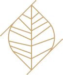 Symbole stylisé d'une feuille aux nervures marquées, inscrit dans un losange formé de lignes diagonales, couleur or sur fond noir.