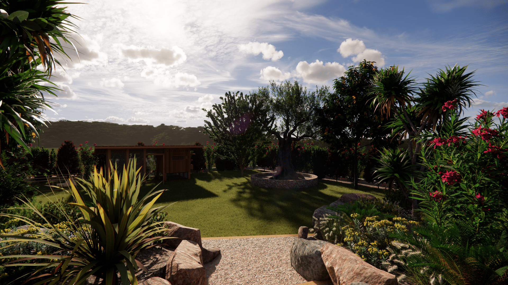 Jardin paysager avec pelouse, olivier central et plantes tropicales sous un ciel ensoleillé.
