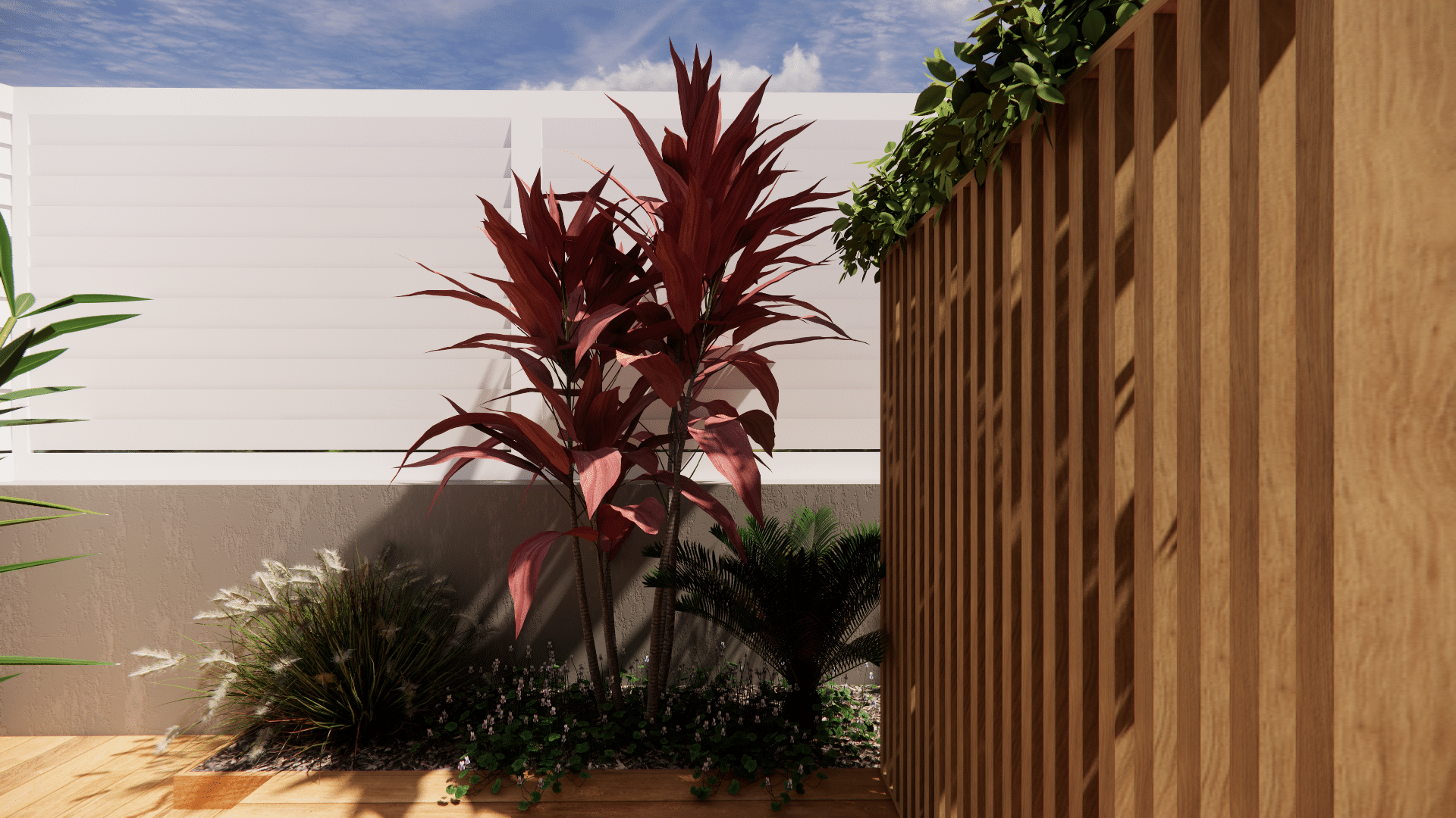 Cordyline rouge et graminées dans un jardin moderne avec clôture en bois et mur blanc.