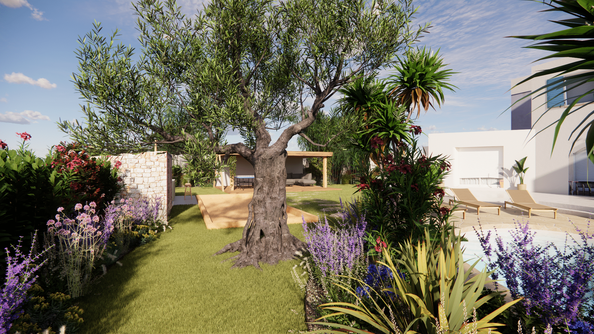Jardin avec olivier centenaire, piscine, pergola et villa moderne sous un ciel ensoleillé.